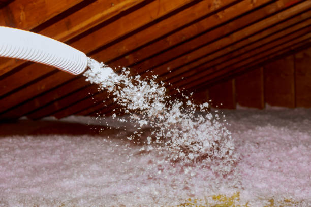 Best Home Insulation Services  in Dillsburg, PA